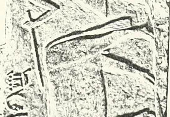 An illustration from Dendereh, 1898, 1900, leaf 105