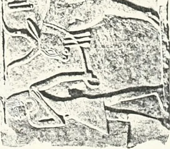 An illustration from Dendereh, 1898, 1900, leaf 105