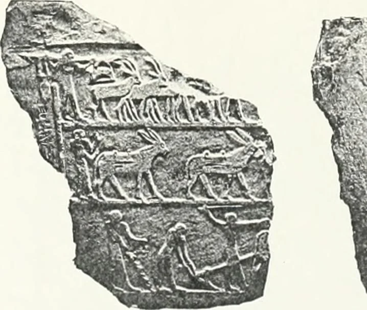 An illustration from Dendereh, 1898, 1900, leaf 109