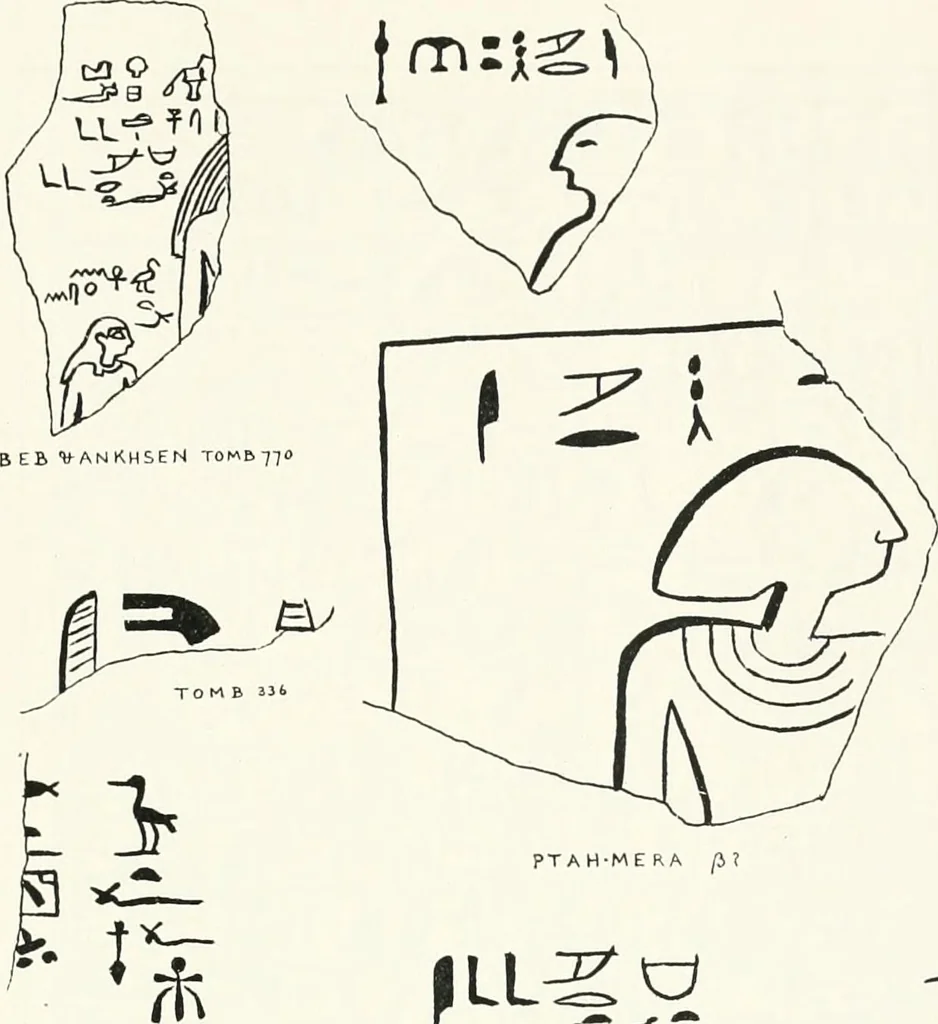 An illustration from Dendereh, 1898, 1900, leaf 117