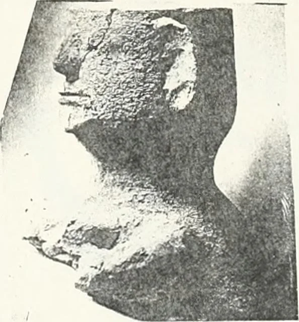 An illustration from Dendereh, 1898, 1900, leaf 131