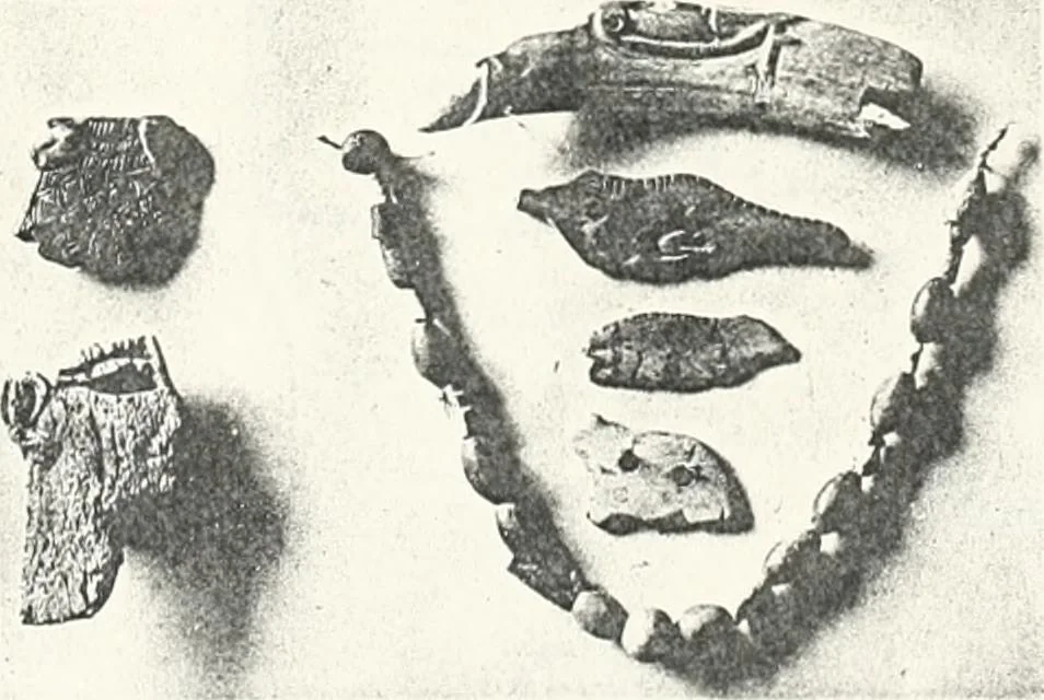 An illustration from Dendereh, 1898, 1900, leaf 133