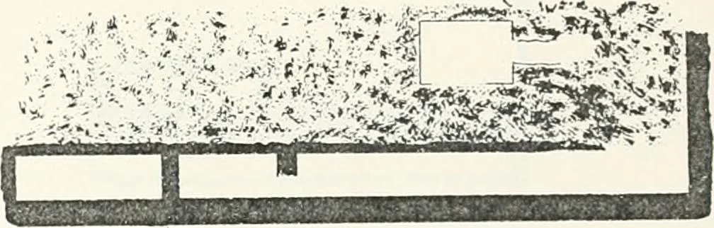 An illustration from Dendereh, 1898, 1900, leaf 159