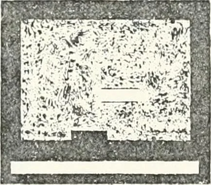 An illustration from Dendereh, 1898, 1900, leaf 159