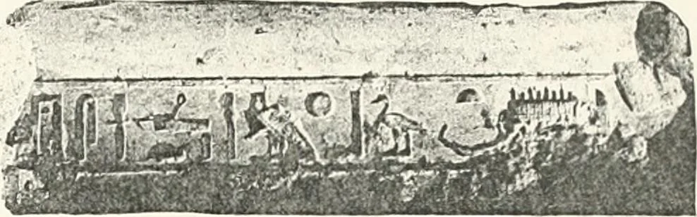An illustration from Dendereh, 1898, 1900, leaf 91