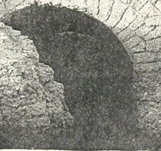 An illustration from Dendereh, 1898, 1900, leaf 91