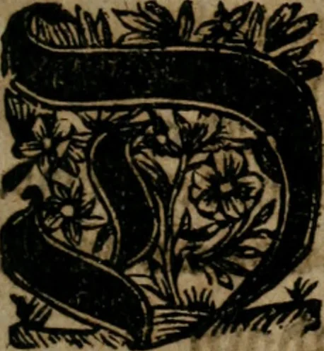 An illustration from Dend første Part af adskillige danske Emblemata : med sine hosføyede Moralia, samlede til Tiids-Fordriv for det danske Sprogs Elskere, 1732, leaf 6
