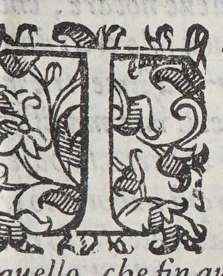 An illustration from De' negotii, et contratti de mercanti, et de negotianti, trattato vtilissimo non solamente à chi essercita la mercatura, ma ancora a confessori, predicatori, & lettori; : nel quale con risolutione molto chiara, & compendiosa si tratta di vendite, compre, cambi, vsure, & restitutione., 1591, leaf 521