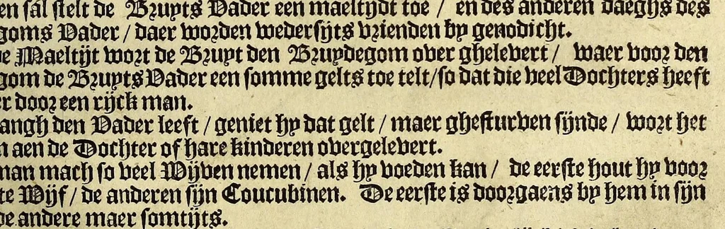 An illustration from De nieuwe bereysde wereldt ofte een korte en bondige beschryvinghe van alle landen en coningrijcken van dien. : Waer inne yder bysonderlijck zijn manieren van leven, religien, huyschoudinge en vrucktbaerheyt haerder landen werden aengewesen : mitsgaders aller pausen, keysers, konigen en vorsten successie, begin en eynde., 1662, leaf 153