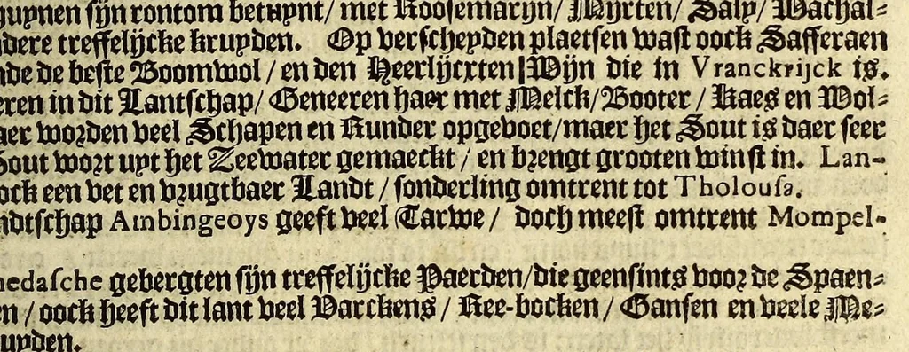 An illustration from De nieuwe bereysde wereldt ofte een korte en bondige beschryvinghe van alle landen en coningrijcken van dien. : Waer inne yder bysonderlijck zijn manieren van leven, religien, huyschoudinge en vrucktbaerheyt haerder landen werden aengewesen : mitsgaders aller pausen, keysers, konigen en vorsten successie, begin en eynde., 1662, leaf 65