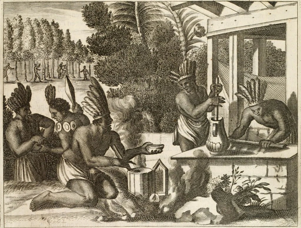An illustration from De nieuwe en onbekende weereld, of, Beschryving van America en 't zuid-land : vervaetende d'oorsprong der Americaenen en zuid-landers, gedenkwaerdige togten derwaerds, gelegendheid der vaste kusten, eilanden, steden, sterkten, dorpen, tempels, bergen, fonteinen, stroomen, huisen, de natuur van beesten, boomen, planten en vreemde gewasschen, Gods-dienst en zeden, wonderlijke voorvallen, vereeuwde en nieuwe oorlogen: verciert met af-beeldsels na 't leven in America gemaekt,, 1671, leaf 284