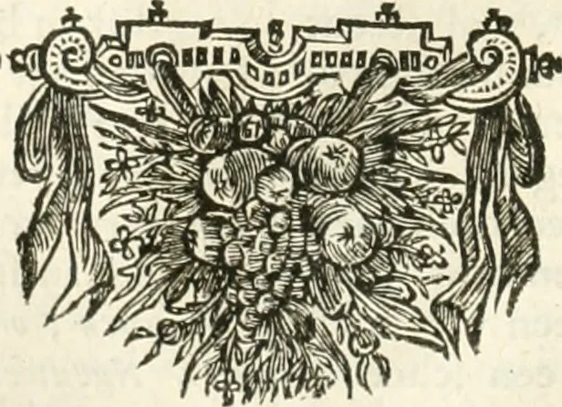 An illustration from De nieuwe en onbekende weereld, of, Beschryving van America en 't zuid-land : vervaetende d'oorsprong der Americaenen en zuid-landers, gedenkwaerdige togten derwaerds, gelegendheid der vaste kusten, eilanden, steden, sterkten, dorpen, tempels, bergen, fonteinen, stroomen, huisen, de natuur van beesten, boomen, planten en vreemde gewasschen, Gods-dienst en zeden, wonderlijke voorvallen, vereeuwde en nieuwe oorlogen: verciert met af-beeldsels na 't leven in America gemaekt,, 1671, leaf 345