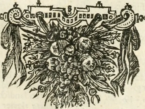 An illustration from De nieuwe en onbekende weereld, of, Beschryving van America en 't zuid-land : vervaetende d'oorsprong der Americaenen en zuid-landers, gedenkwaerdige togten derwaerds, gelegendheid der vaste kusten, eilanden, steden, sterkten, dorpen, tempels, bergen, fonteinen, stroomen, huisen, de natuur van beesten, boomen, planten en vreemde gewasschen, Gods-dienst en zeden, wonderlijke voorvallen, vereeuwde en nieuwe oorlogen: verciert met af-beeldsels na 't leven in America gemaekt,, 1671, leaf 706