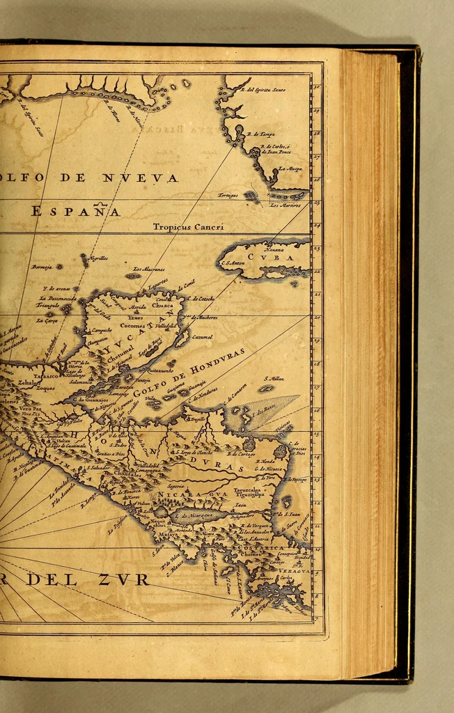 An illustration from De Nieuwe en onbekende Weereld: of Beschryving van America en 't Zuid-Land, : vervaetende d'oorsprong der Americænen en Zuid-Landers, gedenkwaerdige togten derwaerds, gelegendheid der vaste kusten, eilanden, steden, sterkten, dorpen, tempels, bergen, fonteinen, stroomen, huisen, de natuur van beesten, boomen, planten en vreemde gewasschen, gods-dienst en zeden, wonderlijke voorvallen, vereeuwde en nieuwe oorloogen: Verciert met af-beeldsels na 't leven in America gemaekt,, 1671, leaf 313