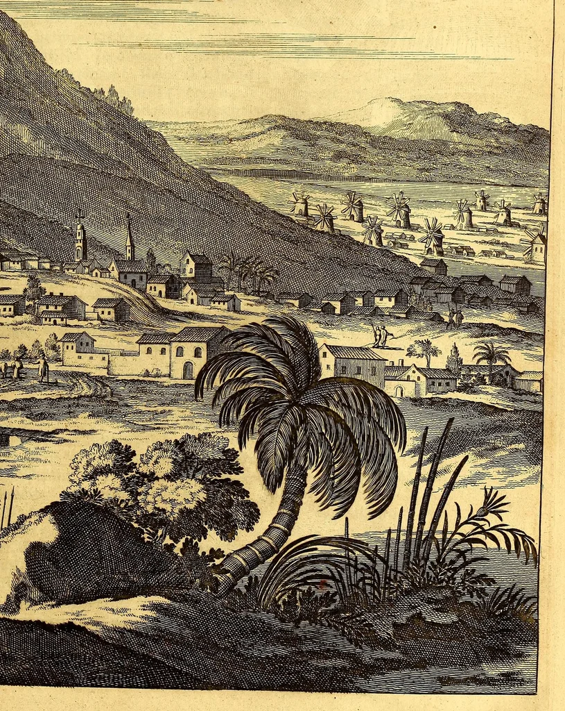 An illustration from De Nieuwe en onbekende Weereld: of Beschryving van America en 't Zuid-Land, : vervaetende d'oorsprong der Americænen en Zuid-Landers, gedenkwaerdige togten derwaerds, gelegendheid der vaste kusten, eilanden, steden, sterkten, dorpen, tempels, bergen, fonteinen, stroomen, huisen, de natuur van beesten, boomen, planten en vreemde gewasschen, gods-dienst en zeden, wonderlijke voorvallen, vereeuwde en nieuwe oorloogen: Verciert met af-beeldsels na 't leven in America gemaekt,, 1671, leaf 483
