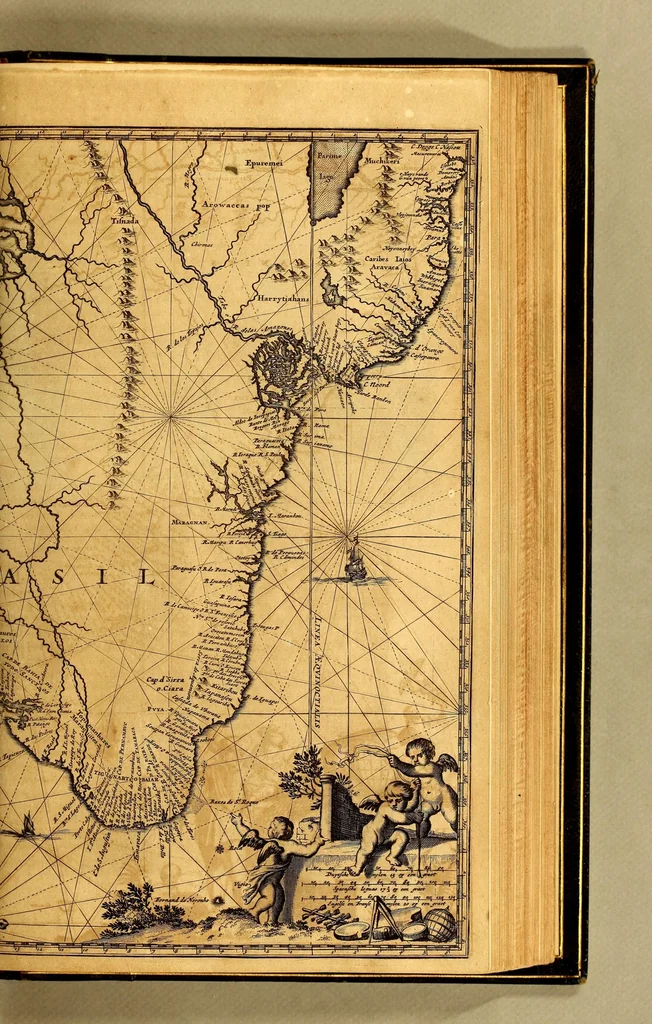 An illustration from De Nieuwe en onbekende Weereld: of Beschryving van America en 't Zuid-Land, : vervaetende d'oorsprong der Americænen en Zuid-Landers, gedenkwaerdige togten derwaerds, gelegendheid der vaste kusten, eilanden, steden, sterkten, dorpen, tempels, bergen, fonteinen, stroomen, huisen, de natuur van beesten, boomen, planten en vreemde gewasschen, gods-dienst en zeden, wonderlijke voorvallen, vereeuwde en nieuwe oorloogen: Verciert met af-beeldsels na 't leven in America gemaekt,, 1671, leaf 493