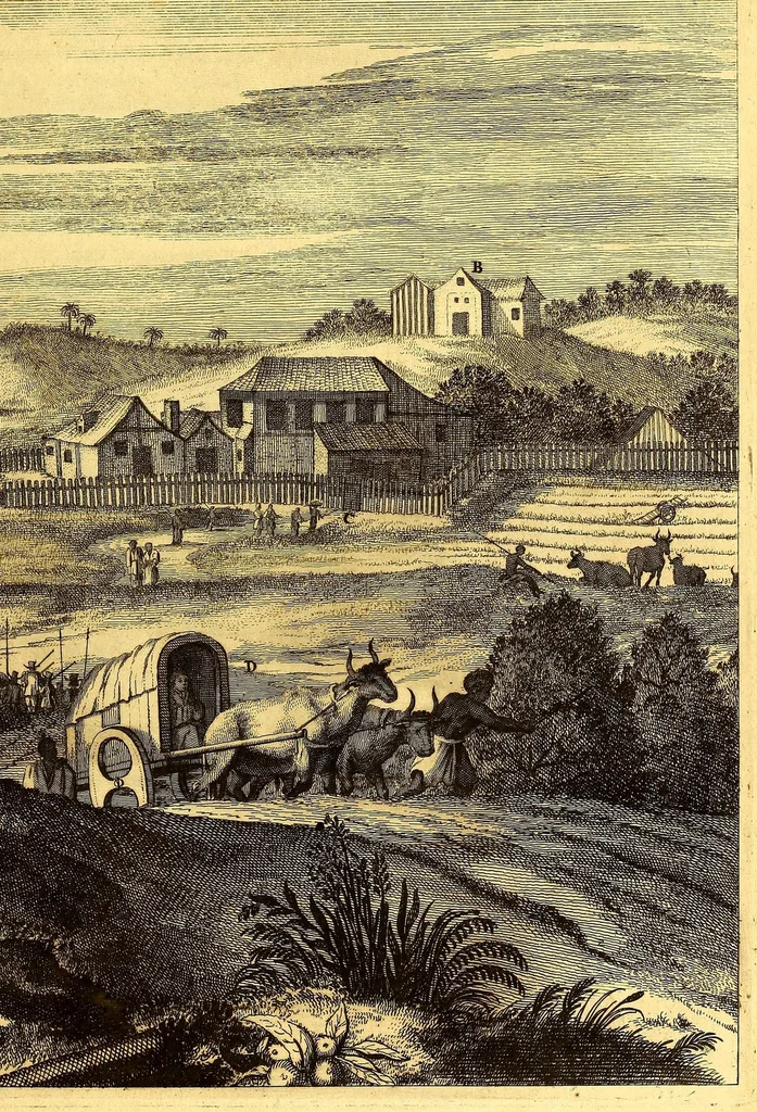 An illustration from De Nieuwe en onbekende Weereld: of Beschryving van America en 't Zuid-Land, : vervaetende d'oorsprong der Americænen en Zuid-Landers, gedenkwaerdige togten derwaerds, gelegendheid der vaste kusten, eilanden, steden, sterkten, dorpen, tempels, bergen, fonteinen, stroomen, huisen, de natuur van beesten, boomen, planten en vreemde gewasschen, gods-dienst en zeden, wonderlijke voorvallen, vereeuwde en nieuwe oorloogen: Verciert met af-beeldsels na 't leven in America gemaekt,, 1671, leaf 631