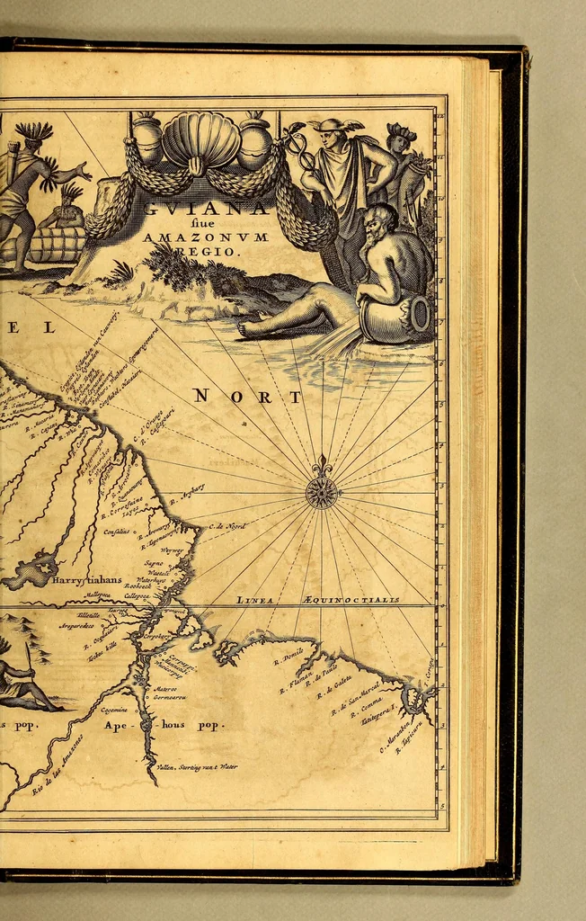 An illustration from De Nieuwe en onbekende Weereld: of Beschryving van America en 't Zuid-Land, : vervaetende d'oorsprong der Americænen en Zuid-Landers, gedenkwaerdige togten derwaerds, gelegendheid der vaste kusten, eilanden, steden, sterkten, dorpen, tempels, bergen, fonteinen, stroomen, huisen, de natuur van beesten, boomen, planten en vreemde gewasschen, gods-dienst en zeden, wonderlijke voorvallen, vereeuwde en nieuwe oorloogen: Verciert met af-beeldsels na 't leven in America gemaekt,, 1671, leaf 735