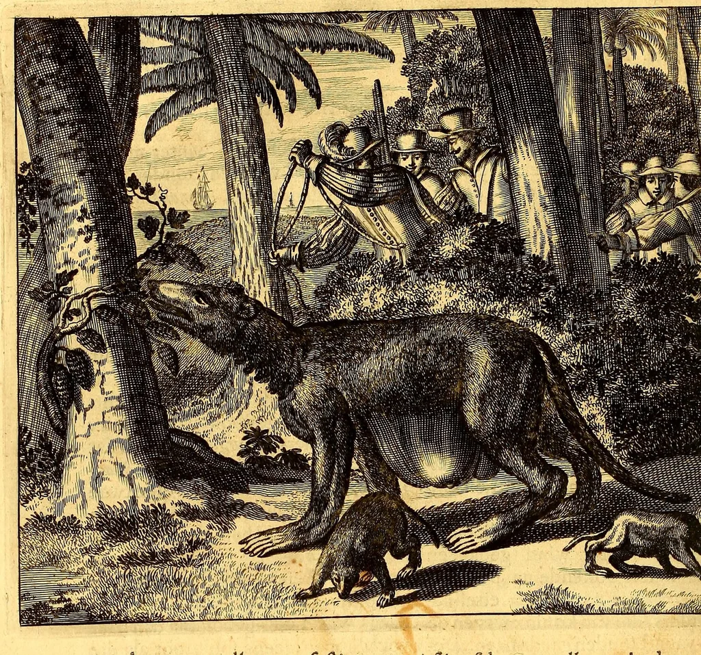 An illustration from De Nieuwe en onbekende Weereld: of Beschryving van America en 't Zuid-Land, : vervaetende d'oorsprong der Americænen en Zuid-Landers, gedenkwaerdige togten derwaerds, gelegendheid der vaste kusten, eilanden, steden, sterkten, dorpen, tempels, bergen, fonteinen, stroomen, huisen, de natuur van beesten, boomen, planten en vreemde gewasschen, gods-dienst en zeden, wonderlijke voorvallen, vereeuwde en nieuwe oorloogen: Verciert met af-beeldsels na 't leven in America gemaekt,, 1671, leaf 78