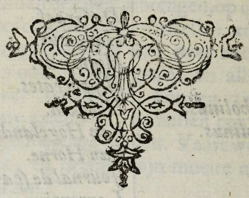 An illustration from De nieuw hervormde anatomie, ofte, Ontleding des menschen lichaams : gebouwd op de waaragtigste en naaukeurigste ondervindingen deser eeuw : zijnde met een groot getal kunstige platen vercʹiert : als ook een verhandelinge van het balsemen der lichamen : noit voor desen dusdanig bekent gemaakt, 1686, leaf 20