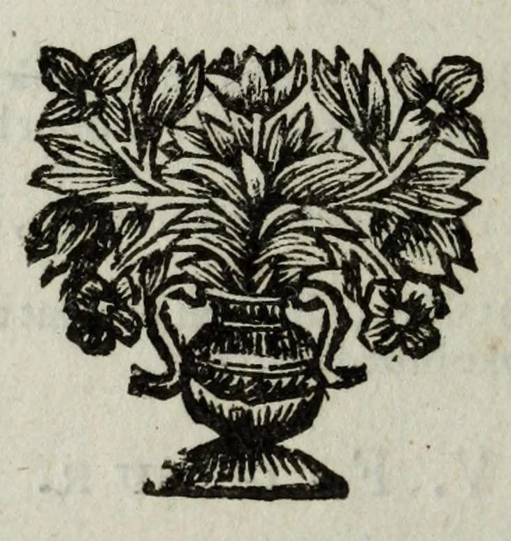 An illustration from De nieuw hervormde anatomie, ofte, Ontleding des menschen lichaams : gebouwd op de waaragtigste en naaukeurigste ondervindingen deser eeuw : zijnde met een groot getal kunstige platen vercʹiert : als ook een verhandelinge van het balsemen der lichamen : noit voor desen dusdanig bekent gemaakt, 1686, leaf 414