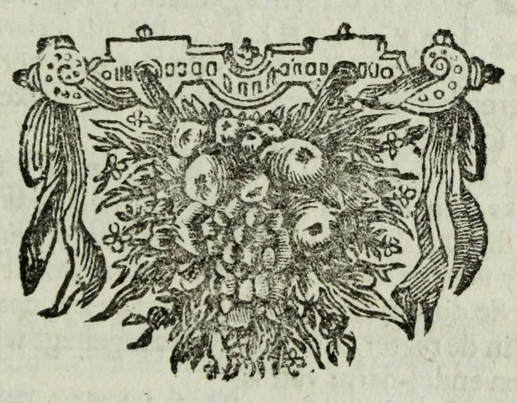 An illustration from De nieuw hervormde anatomie, ofte, Ontleding des menschen lichaams : gebouwd op de waaragtigste en naaukeurigste ondervindingen deser eeuw : zijnde met een groot getal kunstige platen vercʹiert : als ook een verhandelinge van het balsemen der lichamen : noit voor desen dusdanig bekent gemaakt, 1686, leaf 455