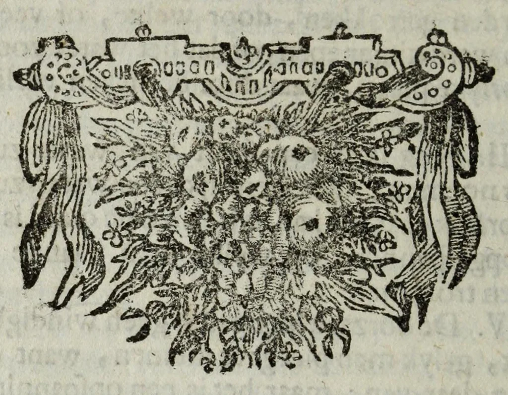 An illustration from De nieuw hervormde anatomie, ofte, Ontleding des menschen lichaams : gebouwd op de waaragtigste en naaukeurigste ondervindingen deser eeuw : zijnde met een groot getal kunstige platen vercʹiert : als ook een verhandelinge van het balsemen der lichamen : noit voor desen dusdanig bekent gemaakt, 1686, leaf 464