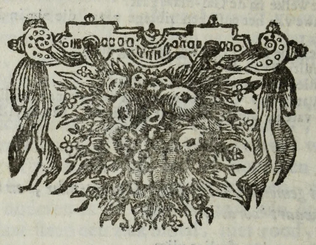 An illustration from De nieuw hervormde anatomie, ofte, Ontleding des menschen lichaams : gebouwd op de waaragtigste en naaukeurigste ondervindingen deser eeuw : zijnde met een groot getal kunstige platen vercʹiert : als ook een verhandelinge van het balsemen der lichamen : noit voor desen dusdanig bekent gemaakt, 1686, leaf 484