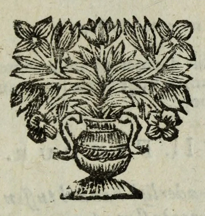 An illustration from De nieuw hervormde anatomie, ofte, Ontleding des menschen lichaams : gebouwd op de waaragtigste en naaukeurigste ondervindingen deser eeuw : zijnde met een groot getal kunstige platen vercʹiert : als ook een verhandelinge van het balsemen der lichamen : noit voor desen dusdanig bekent gemaakt, 1686, leaf 61