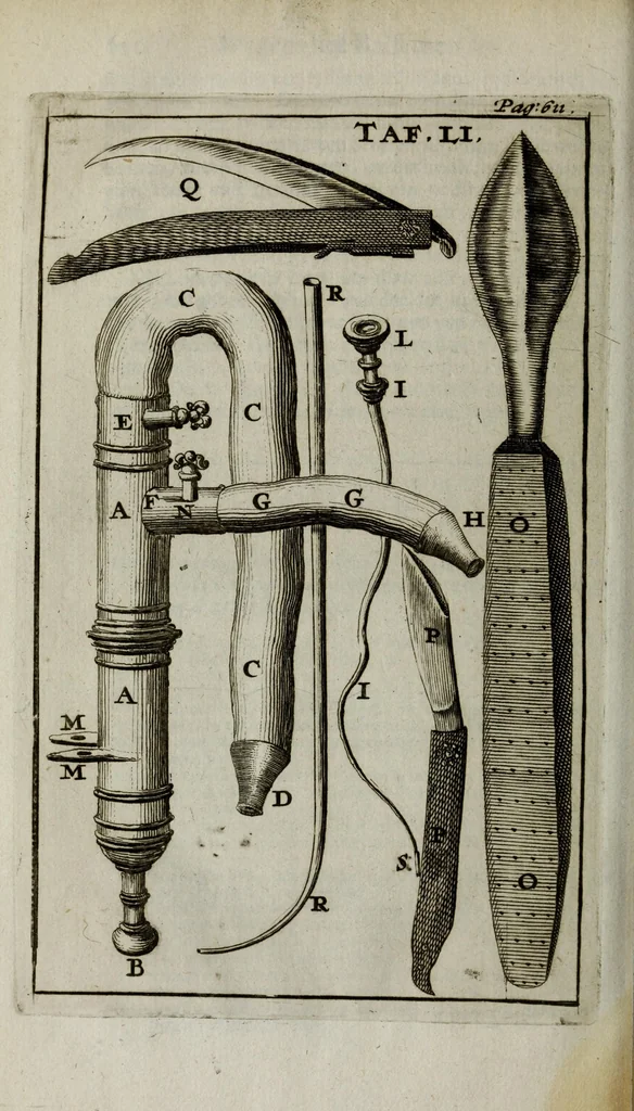 An illustration from De nieuw hervormde anatomie, ofte, Ontleding des menschen lichaams : gebouwd op de waaragtigste en naaukeurigste ondervindingen deser eeuw : zijnde met een groot getal kunstige platen vercʹiert : als ook een verhandelinge van het balsemen der lichamen : noit voor desen dusdanig bekent gemaakt, 1686, leaf 734