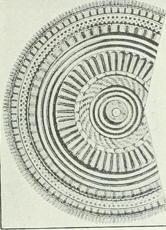 An illustration from Denkmäler des klassischen Altertums, zur Erläuterung des Lebens der Griechen und Römer in Religion, Kunst und Sitte, 1887, leaf 359