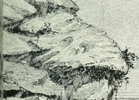 An illustration from Denkmäler des klassischen Altertums, zur Erläuterung des Lebens der Griechen und Römer in Religion, Kunst und Sitte, 1887, leaf 45