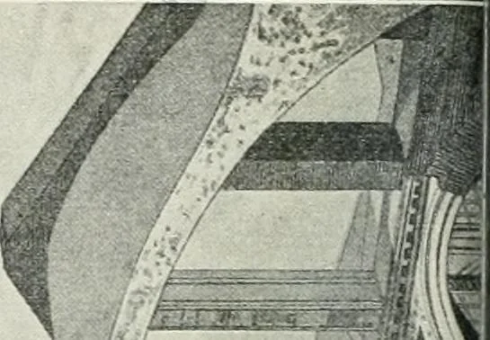 An illustration from Denkmäler des klassischen Altertums, zur Erläuterung des Lebens der Griechen und Römer in Religion, Kunst und Sitte, 1887, leaf 423