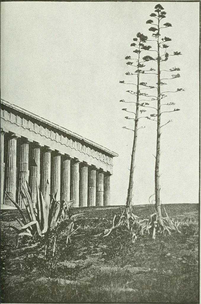 An illustration from Denkmäler des klassischen Altertums, zur Erläuterung des Lebens der Griechen und Römer in Religion, Kunst und Sitte, 1887, leaf 430