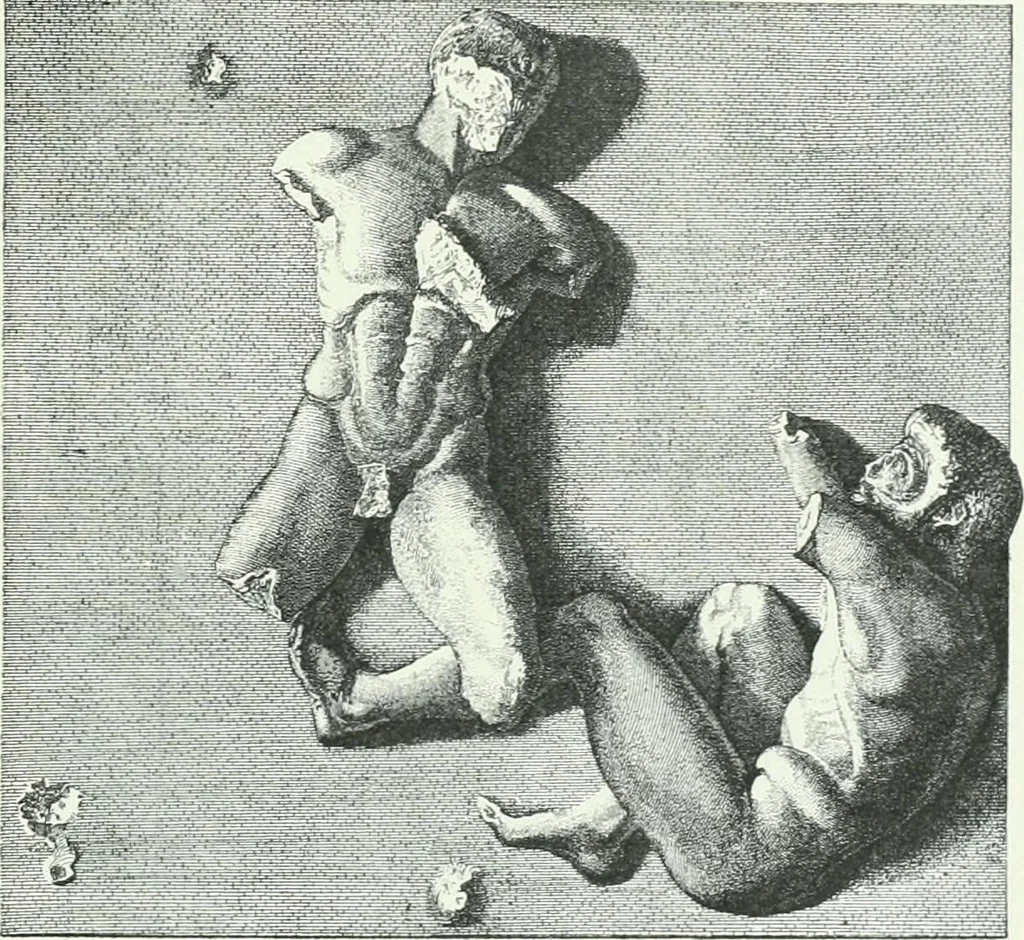 An illustration from Denkmäler des klassischen Altertums, zur Erläuterung des Lebens der Griechen und Römer in Religion, Kunst und Sitte, 1887, leaf 444