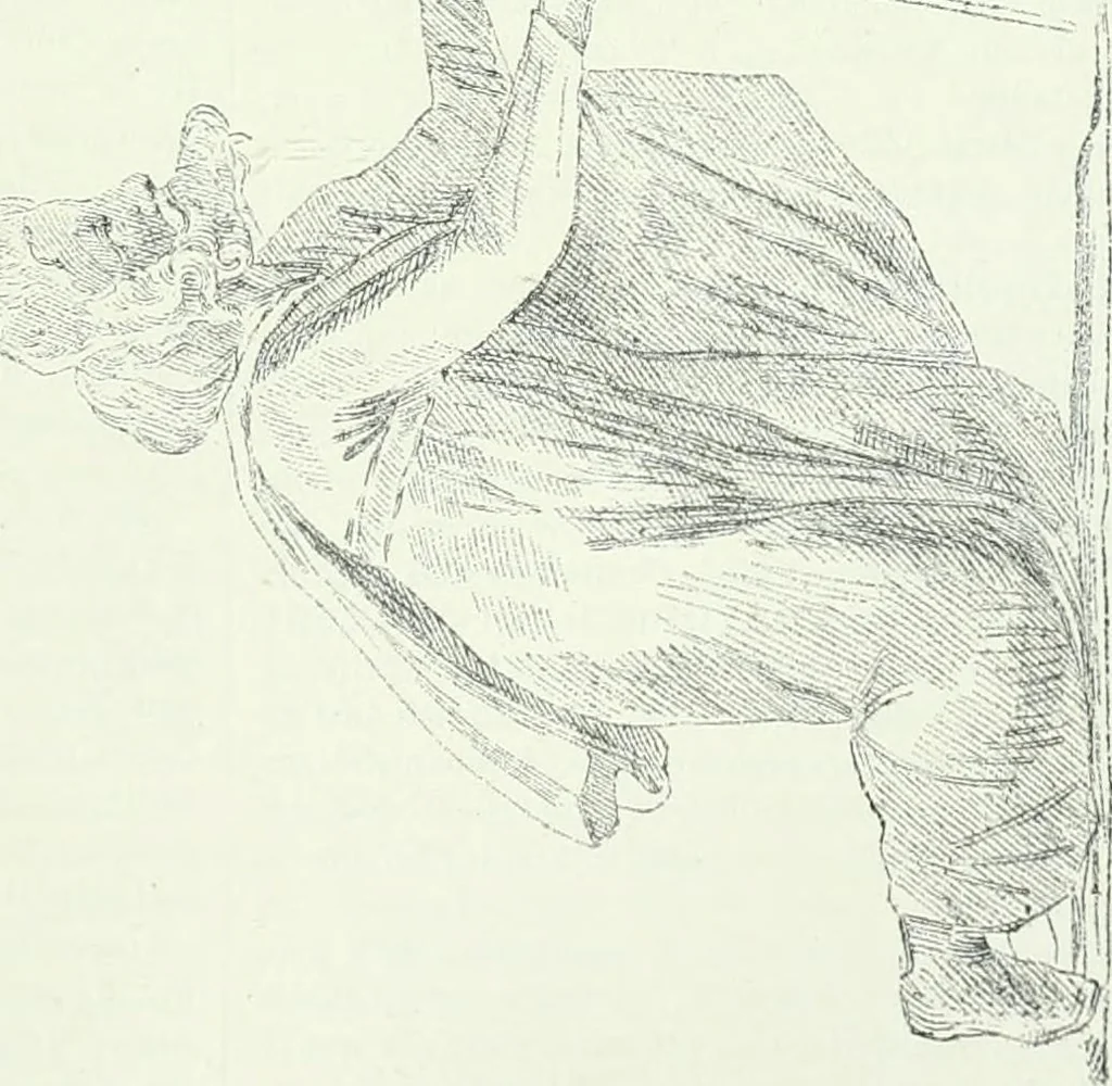 An illustration from Denkmäler des klassischen Altertums, zur Erläuterung des Lebens der Griechen und Römer in Religion, Kunst und Sitte, 1887, leaf 538