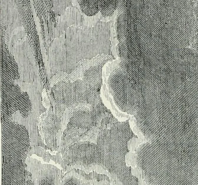 An illustration from Denkmäler des klassischen Altertums, zur Erläuterung des Lebens der Griechen und Römer in Religion, Kunst und Sitte, 1887, leaf 563