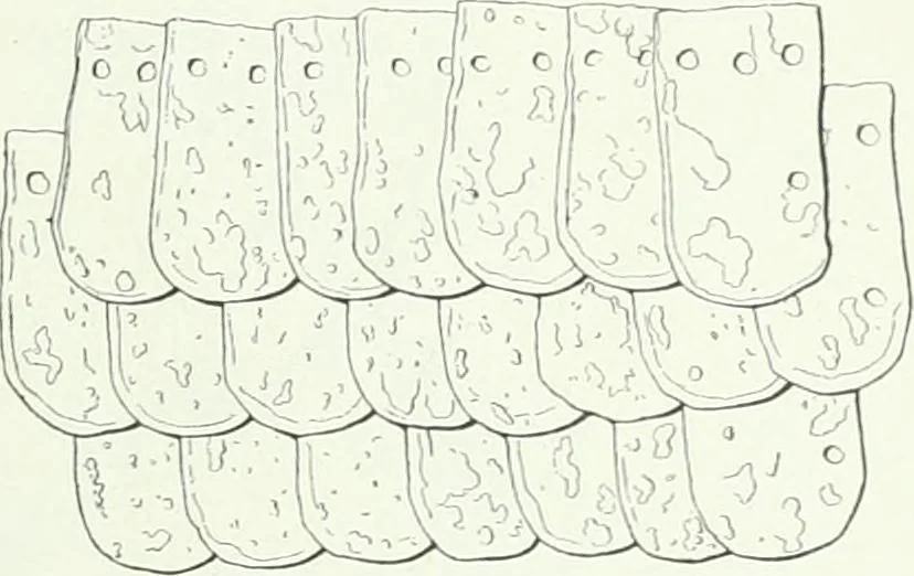 An illustration from Denkmäler des klassischen Altertums, zur Erläuterung des Lebens der Griechen und Römer in Religion, Kunst und Sitte, 1887, leaf 762