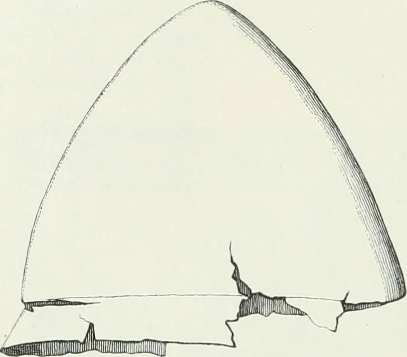 An illustration from Denkmäler des klassischen Altertums, zur Erläuterung des Lebens der Griechen und Römer in Religion, Kunst und Sitte, 1887, leaf 767