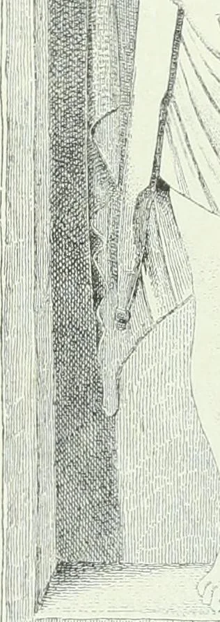 An illustration from Denkmäler des klassischen Altertums, zur Erläuterung des Lebens der Griechen und Römer in Religion, Kunst und Sitte, 1887, leaf 786