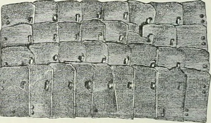 An illustration from Denkmäler des klassischen Altertums, zur Erläuterung des Lebens der Griechen und Römer in Religion, Kunst und Sitte, 1887, leaf 799