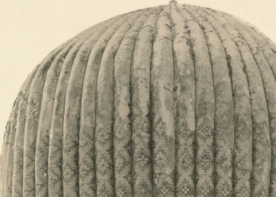 An illustration from Denkmäler persischer Baukunst : geschichtliche Untersuchung und Aufnahme muhammedanischer Backsteinbauten in Vorderasien und Persien, 1901, leaf 80