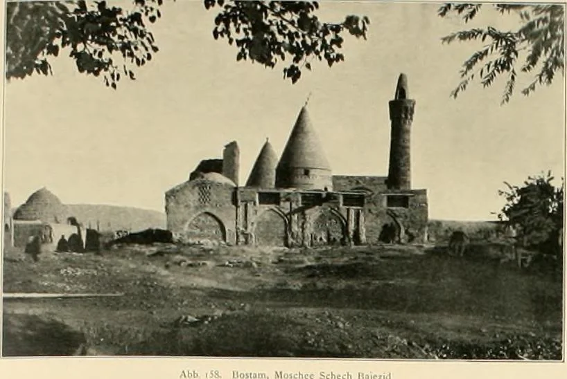 An illustration from Denkmäler persischer Baukunst : geschichtliche Untersuchung und Aufnahme muhammedanischer Backsteinbauten in Vorderasien und Persien, 1901, leaf 130