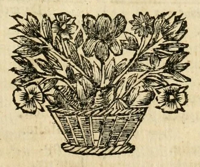 An illustration from Den nederlandtsen hovenier : zijnde het I. deel van het Vermakelijck land-leven, beschrijbende alderhande princelijke en heerlijcke lusthoven en hofsteden; en hoeman de selve, met veelderley uytnemende boomen, bloemen en kruyden, kan beplanted, bezaeyen, en vercieren ..., 1699, leaf 143