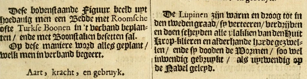 An illustration from Den nederlandtsen hovenier : zijnde het I. deel van het Vermakelijck land-leven, beschrijbende alderhande princelijke en heerlijcke lusthoven en hofsteden; en hoeman de selve, met veelderley uytnemende boomen, bloemen en kruyden, kan beplanted, bezaeyen, en vercieren ..., 1699, leaf 177