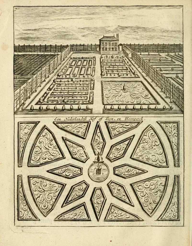 An illustration from Den nederlandtsen hovenier : zijnde het I. deel van het Vermakelijck land-leven, beschrijbende alderhande princelijke en heerlijcke lusthoven en hofsteden; en hoeman de selve, met veelderley uytnemende boomen, bloemen en kruyden, kan beplanted, bezaeyen, en vercieren ..., 1699, leaf 20