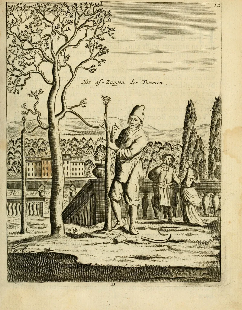 An illustration from Den nederlandtsen hovenier : zijnde het I. deel van het Vermakelijck land-leven, beschrijbende alderhande princelijke en heerlijcke lusthoven en hofsteden; en hoeman de selve, met veelderley uytnemende boomen, bloemen en kruyden, kan beplanted, bezaeyen, en vercieren ..., 1699, leaf 29