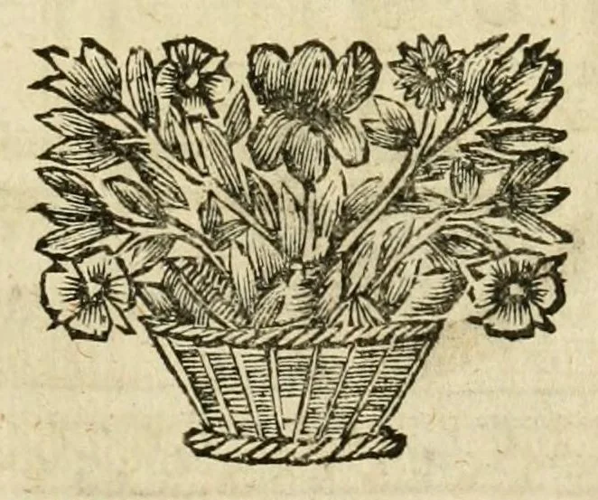 An illustration from Den nederlandtsen hovenier : zijnde het I. deel van het Vermakelijck land-leven, beschrijbende alderhande princelijke en heerlijcke lusthoven en hofsteden; en hoeman de selve, met veelderley uytnemende boomen, bloemen en kruyden, kan beplanted, bezaeyen, en vercieren ..., 1699, leaf 7