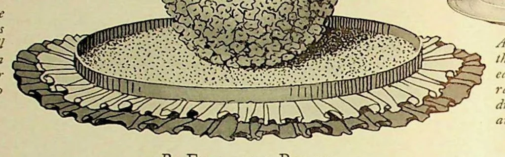 An illustration from Dennison's Party Magazine, Nos. 1, 2, and 6, 1928, 1928, leaf 21