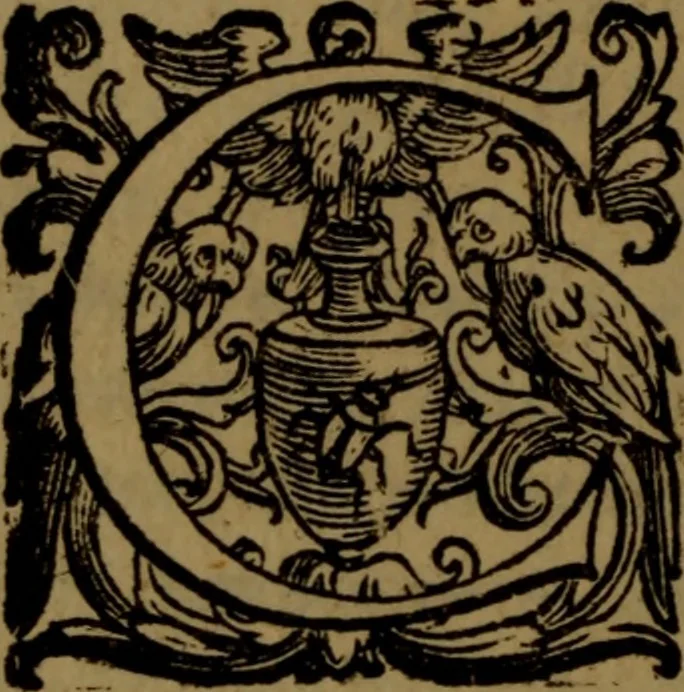 An illustration from De nobilitate medici contra illius obtrectatores dialogus tripartitus : in quo rationibus, exemplis, sapientumque auctoritatibus, Sacrae Scripturae, ac utriusque juris comprobatur medicum jurisprudente esse nobiliorem ; postea de omnibus scientijs, artibus hactenus cognitis, etiam magicis compendiosus habetur tractatus ..., 1605, leaf 11